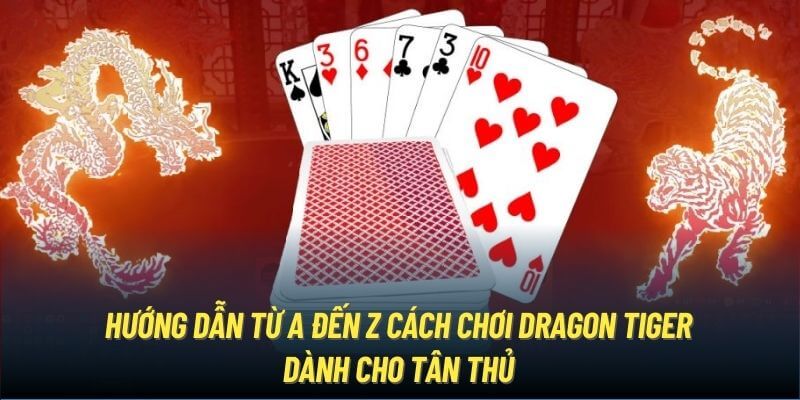 Hướng dẫn từ A đến Z cách chơi Rồng Hổ dành cho tân thủ